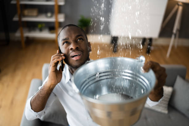 Best Professional water damage repair  in Willow, AK
