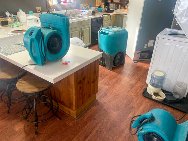 Best Water damage restoration near me  in Willow, AK