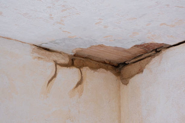 Best Commercial water damage restoration  in Willow, AK