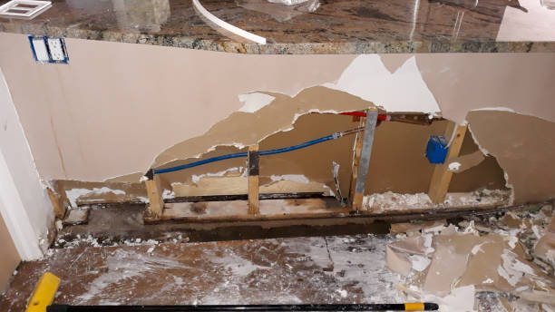 Best Water damage restoration near me  in Willow, AK