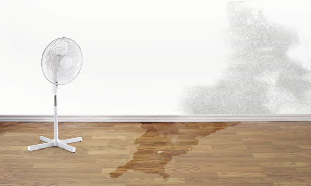 Best Flooded house restoration  in Willow, AK