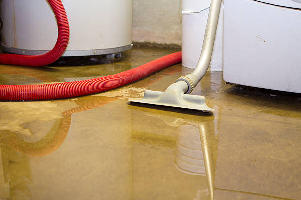 Best Local water damage restoration  in Willow, AK