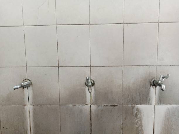 Best Water damage restoration cost  in Willow, AK