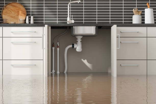 Best 24-hour water damage restoration  in Willow, AK